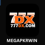 777DX Game logo
