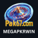 PAK67 Game logo