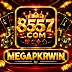 8557 Game logo